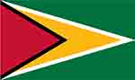 Guyana flag (courtesy of flagpictures.org)