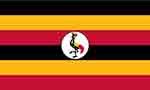 Uganda’s Top 10 Exports